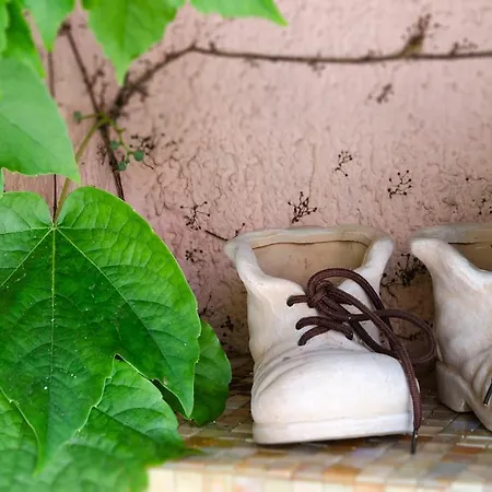 Frühstückspension Bbolbia -