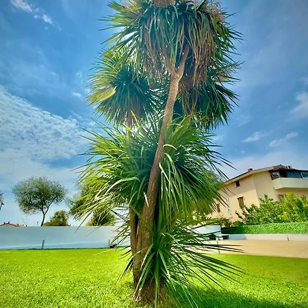 Bbolbia - Rooms And Breakfast Panzió Olbia