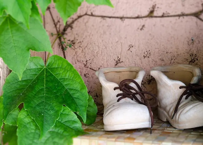 Bed and breakfast Bbolbia -