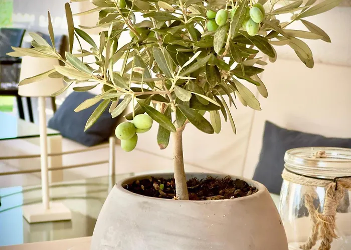 Bbolbia - Bed and breakfast Olbia