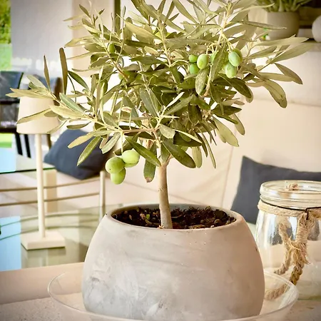 Bbolbia - Bed & Breakfast Olbia